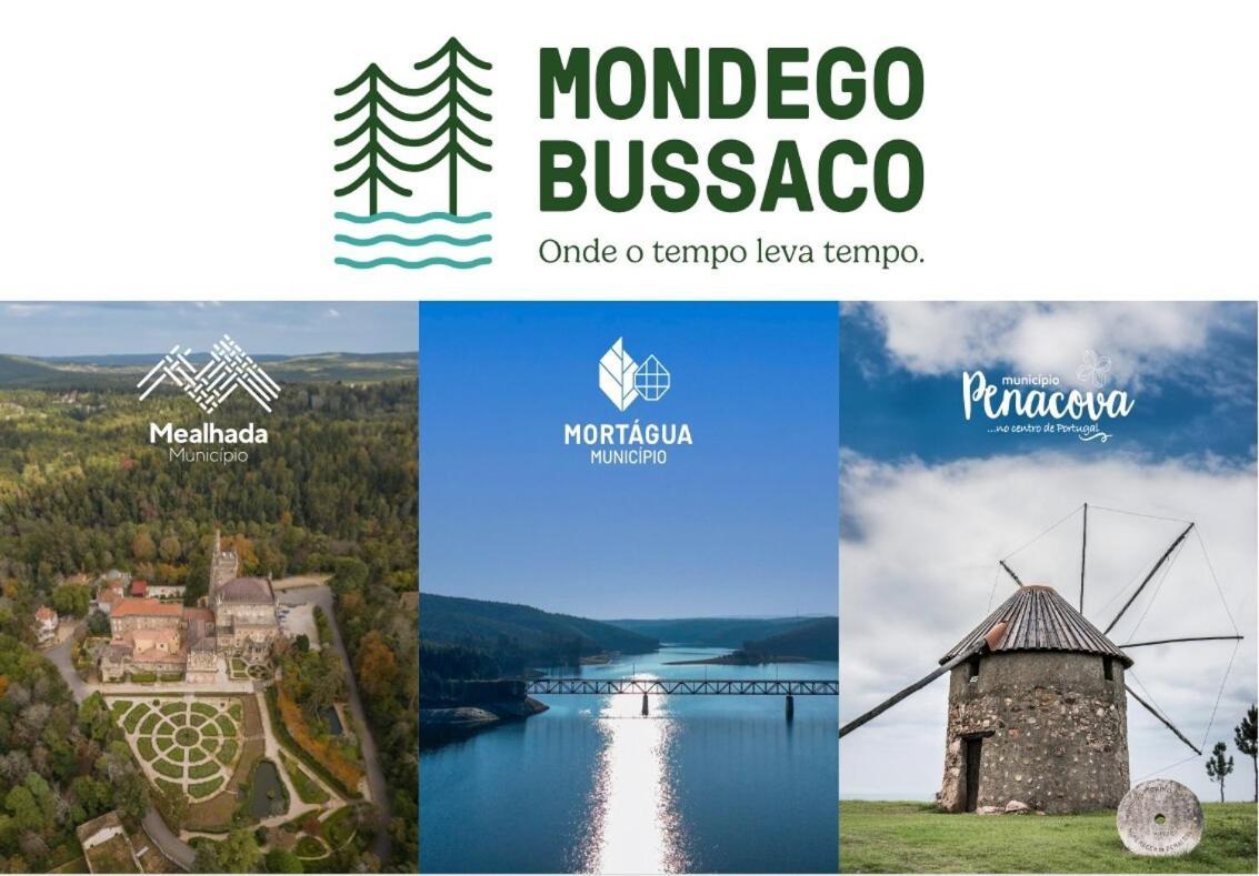 Mimosa Village - Turismo De Natureza Мортагуа Экстерьер фото