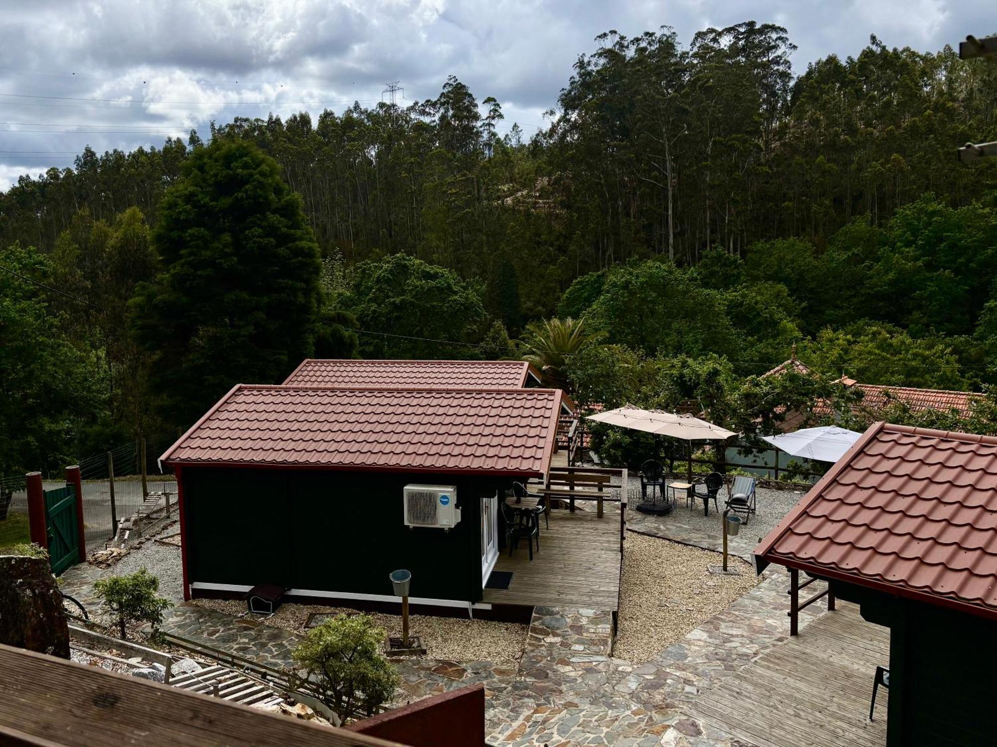 Mimosa Village - Turismo De Natureza Мортагуа Экстерьер фото